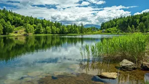 Europe, Italy, Trentino. The lake Lago Santo in the Cembra valley