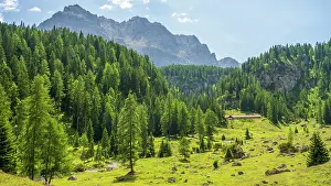 Hike Prints: Europe, Italy, Trentino. The landscape of the Brenta Dolomites around the alpine pasture Malga Pozzol
