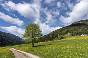Fassa Valley Prints: Europe, Italy, Trentino, Trento province, Fassa Valley, Moena district, Dolomites