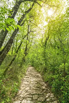 Construction Prints: Europe, Italy, Tuscany. Bagno a Ripoli. The ancient roman road near to Bigallo
