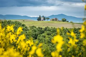 europe, Italy, Tuscany. The Chapel of the Madonna di Vitaleta near to San Quirico