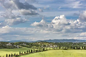 Images Dated 26th June 2017: europe, Italy, Tuscany. The crete senesi near Asciano