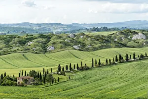 Images Dated 26th June 2017: europe, Italy, Tuscany. The crete senesi near Asciano