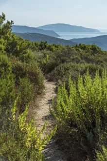europe, Italy, Tuscany, Elba Island, view from the hiking path towards the sea