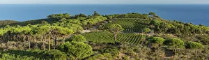 europe, Italy, Tuscany, Elba Island, a view from the hike on Capoliveri Peninsula