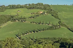 Chianciano Terme Prints: europe, Italy, Tuscany. The famous winding road of la Foce