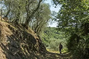 Europe, italy, Tuscany. Hiking on the Via Francigena