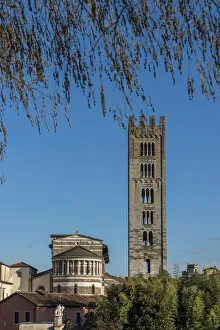 Images Dated 2nd February 2018: Europe, Italy, Tuscany. Lucca, view towards the cathedral