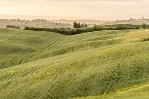 Images Dated 10th May 2017: europe, Italy, Tuscany. Sunset in southern Tuscany