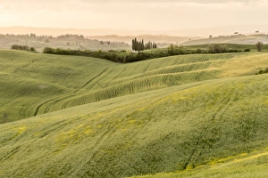 Images Dated 10th May 2017: europe, Italy, Tuscany. Sunset in southern Tuscany