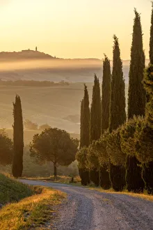 Images Dated 14th July 2020: Europe, Italy, Tuscany, Toscana, San Quirico d Orcia