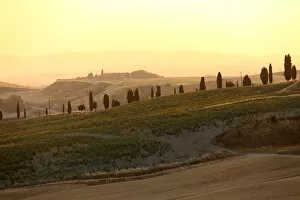 Images Dated 26th June 2018: Europe; Italy; Tuscany; Val d Orcia, landscape with road lined with cypress trees