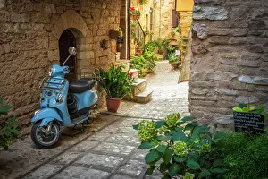 Umbria Prints: Europe, Italy, Umbria. In the streets of Spello with its beautiful flower decorations