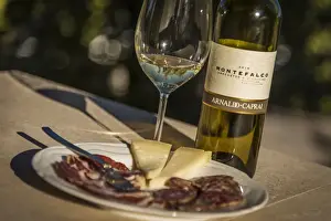 Speciality Prints: europe, italy, umbria. Wine tasting at the cellar Caprai in Montefalco