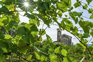 Europe, Italy, Veneto. A church in the Prosecco hills near to Valdobbiadene