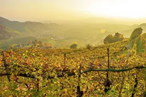 Treviso Prints: europe, Italy, Veneto. The Prosecco hills of Conegliano and Valdobbiadene in autumn