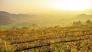 europe, Italy, Veneto. The Prosecco hills of Conegliano and Valdobbiadene in autumn. Near to Osteria Senza Oste at sunset