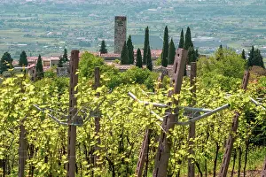Venetia Prints: Europe, Italy, Veneto. The tiny village of San Giorgio in Valpolicella