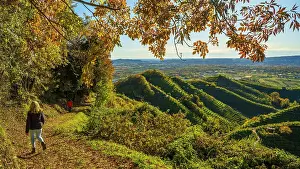 Producer Prints: europe, Italy, Veneto. Walking in the Prosecco hills of Conegliano and Valdobbiadene in autumn