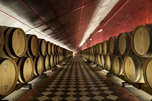 Images Dated 23rd September 2015: Europe, Portugal, Alentejo, Arronches, the Reynolds Winery cellars
