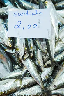 Fishmonger Prints: Europe, Portugal, Alentejo, sardines for sale in Vila Nova de Milfontes fish market