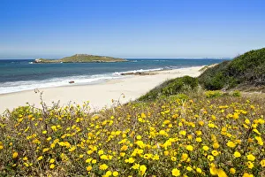 Images Dated 23rd September 2015: Europe, Portugal, Alentejo, Sines, the Ilha do Pessegueiro island and the Rota Vicentina