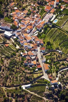 Aerial Shot Gallery: Europe, Portugal, Tras-os-Montes e Alto Douro, Douro Valley aerial view of vineyards