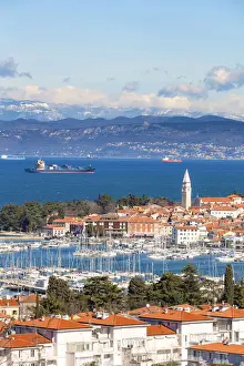 Europe, Slovenia, Istria. High angle view of the bay and marina of Izola, Slovenian