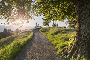 Sun Rays Prints: Europe, Slovenia. The road leading to the Church of St Primus and Felician in Jamnik