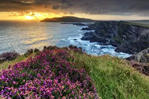 Europe, Spectacular Kerry cliffs at sunset along the Ring of Kerry