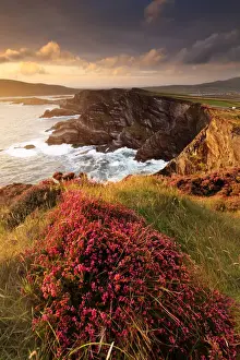 Europe, Spectacular Kerry cliffs at sunset along the Ring of Kerry