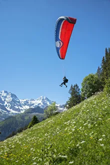 Images Dated 14th September 2016: Europe, Switzerland, Bern, Bernese Oberland, Birg, people paragliding