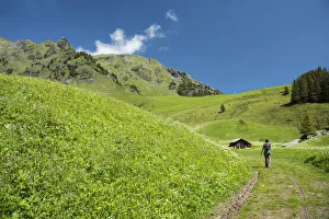Images Dated 14th September 2016: Europe, Switzerland, Bern, Bernese Oberland, Birg, Blumental, Wanderin im Blumental