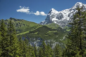 Images Dated 14th September 2016: Europe, Switzerland, Bern, Bernese Oberland, Eiger and Moench peaks in the Bernese Alps