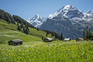 Images Dated 14th September 2016: Europe, Switzerland, Bern, Bernese Oberland, Birg, Bernese Alps with Moench