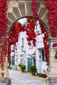 Images Dated 3rd November 2020: Europe, UK, England, London, Kensington and Chelsea, a mews of 18th Century houses with