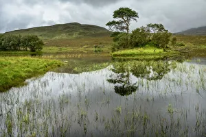 Moor Prints: Europe, UK, United Kingdom, Scotland, Scottish, Highland Loch