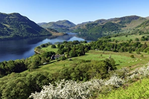 Europe, United Kingdom, England, Cumbria, Lake District, Ullswater, Yew Crag On Gowbarrow Fell