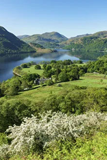Europe, United Kingdom, England, Cumbria, Lake District, Ullswater, Yew Crag On Gowbarrow