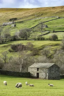 Europe, United Kingdom, England, North Yorkshire, Yorkshire Dales National Park