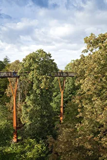 Europe, United Kingdom, England, London, Kew, Royal Botanic Gardens, the canopy walkway