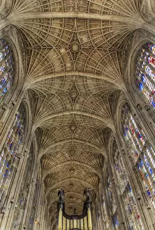 Images Dated 10th November 2017: Europe, United Kingdom, England, Cambridge, Cambridge University, nave of King s