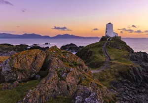 Europe, United Kingdom, Wales, Anglesey, Llanddwyn Island National Nature Reserve