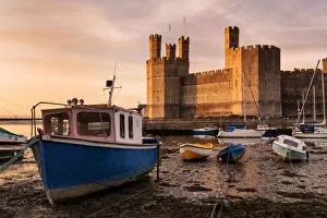 Images Dated 19th March 2014: Europe, United Kingdom, Wales, Caernarfon Castle