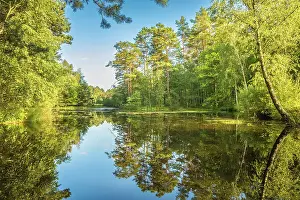 Clear Prints: Evening atmosphere at the Pastor Ponds in the Wesel Heath nature reserve