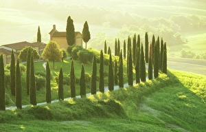 Roads Prints: Evening light over Cappella di Baccoleno, Crete Senesi, Tuscany, Italy