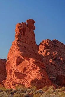 Evening light on sandstone spires in the Seven Sisters area, Valley of Fire State Park, Nevada, USA