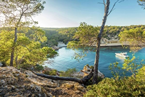 Evenings Prints: Evening mood at Cala Portals Vells, Mallorca, Balearic Islands, Spain