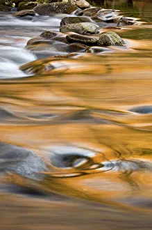 Habitats Prints: Evening reflections in the Little River