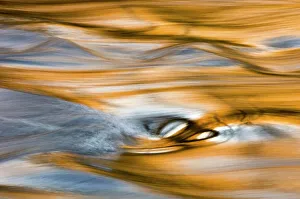 Fresh Water Prints: Evening reflections in the Little River